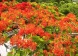 Hummingbird Villa, Golf Park, Cap Estate, St. Lucia ,  - Just Properties
