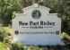 GC31, River Ridge RR02,  New Port Richey,  - Just Properties